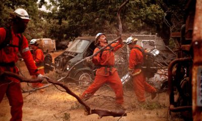 Photo of inmate firefighters in Yosemite