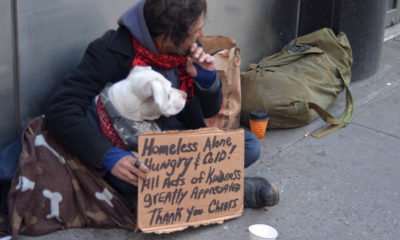 Photo of a homeless man and his dog in New York City