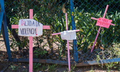 Photo of crosses place in memory of violence victims