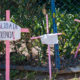 Photo of crosses place in memory of violence victims