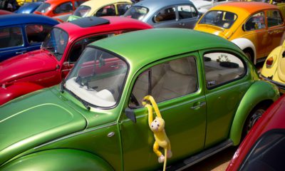 Photo of VW Beetles at an annual gathering of the "Beetle club"