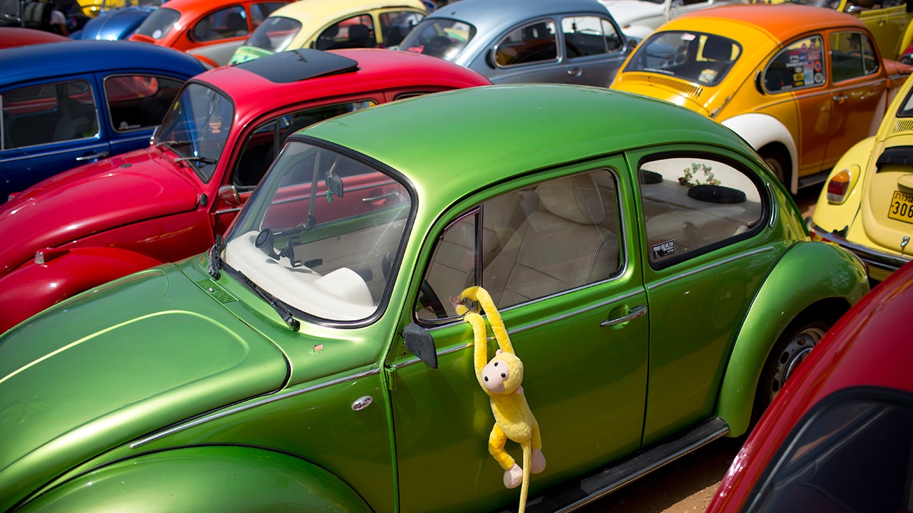 Photo of VW Beetles at an annual gathering of the "Beetle club"