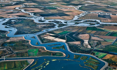 Aerial photo of canals that are part of the Central Valley Project