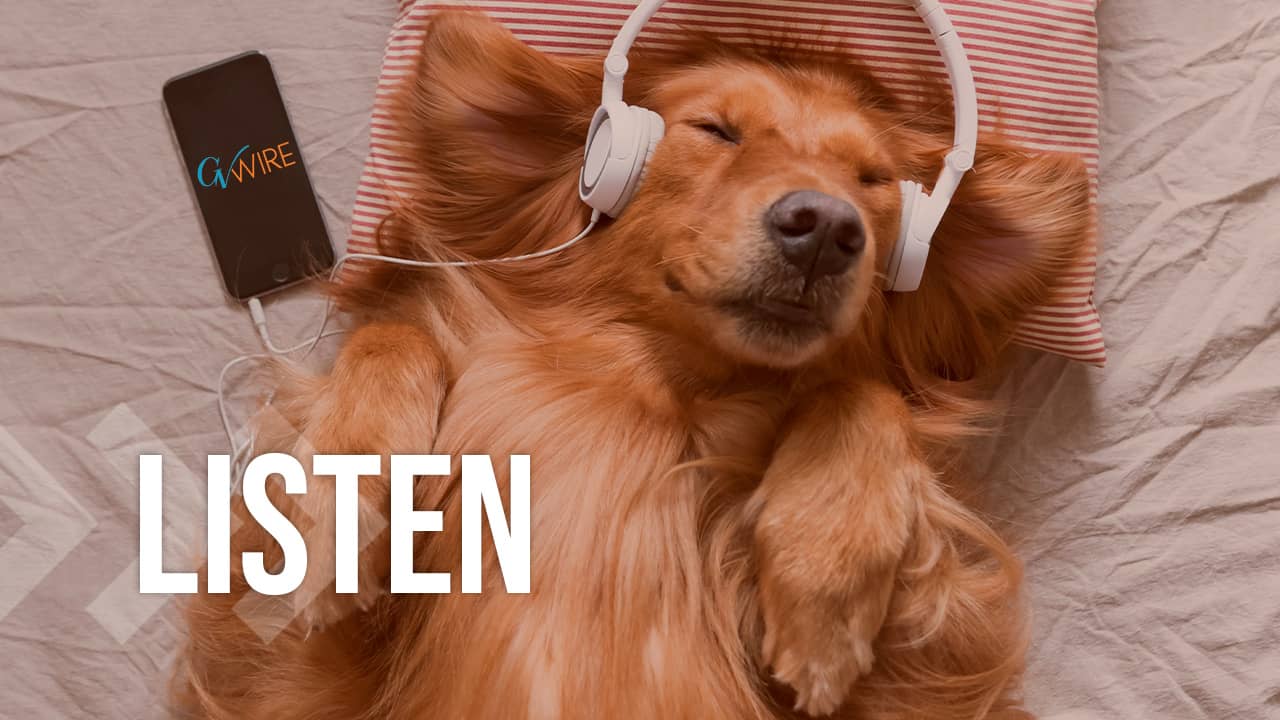 Photo of a dog listening to headphones