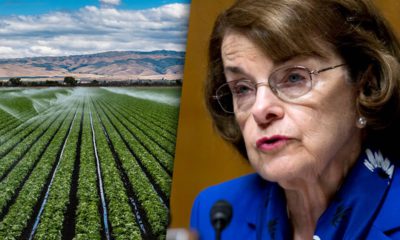 Composite of Valley farm field and U.S. Sen. Dianne Feinstein