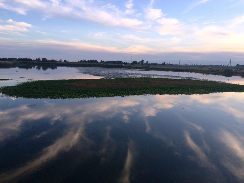 Photo of Mendota Pool, which holds 3,000 acre-feet of water in western Fresno County