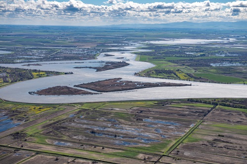 Photo of the San Joaquin River as it flows through California's Delta