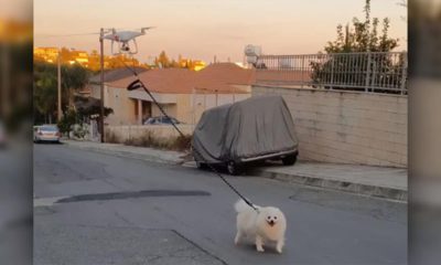 Photo of a dog being walked by a drone