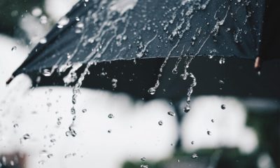 Photo of a black umbrella in the rain