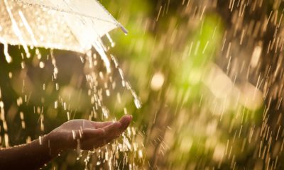 Photo of someone holding their hand out in the rain