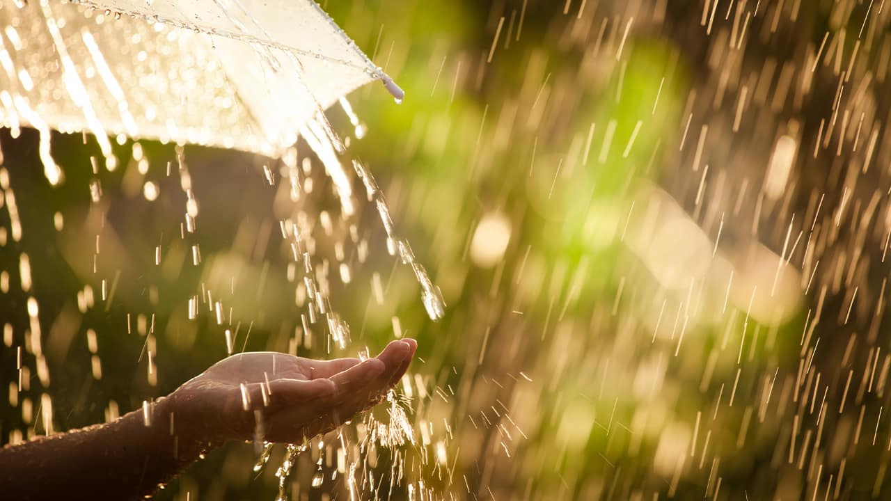 Photo of someone holding their hand out in the rain