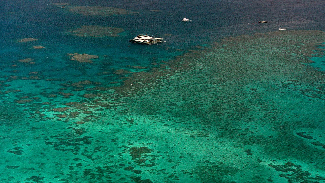 Photo of the Agincourt Reef