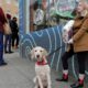 Photo of a woman and her dog waiting in line in Seattle