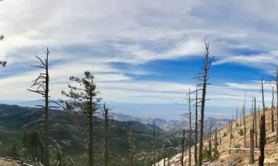 Photo of the Catalina Mountains