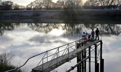 Photo of people fishing at the Sacramento River