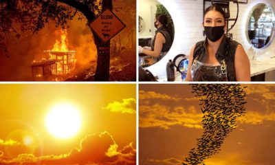 Pictures of challenges facing Fresno, California: heatwave, blackouts, potentially rabid bats, and COVID-19