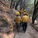 Photo of a woman being carried out after falling while hiking along Willow Creek on Saturday, Aug. 22, 2020, in Madera County, California